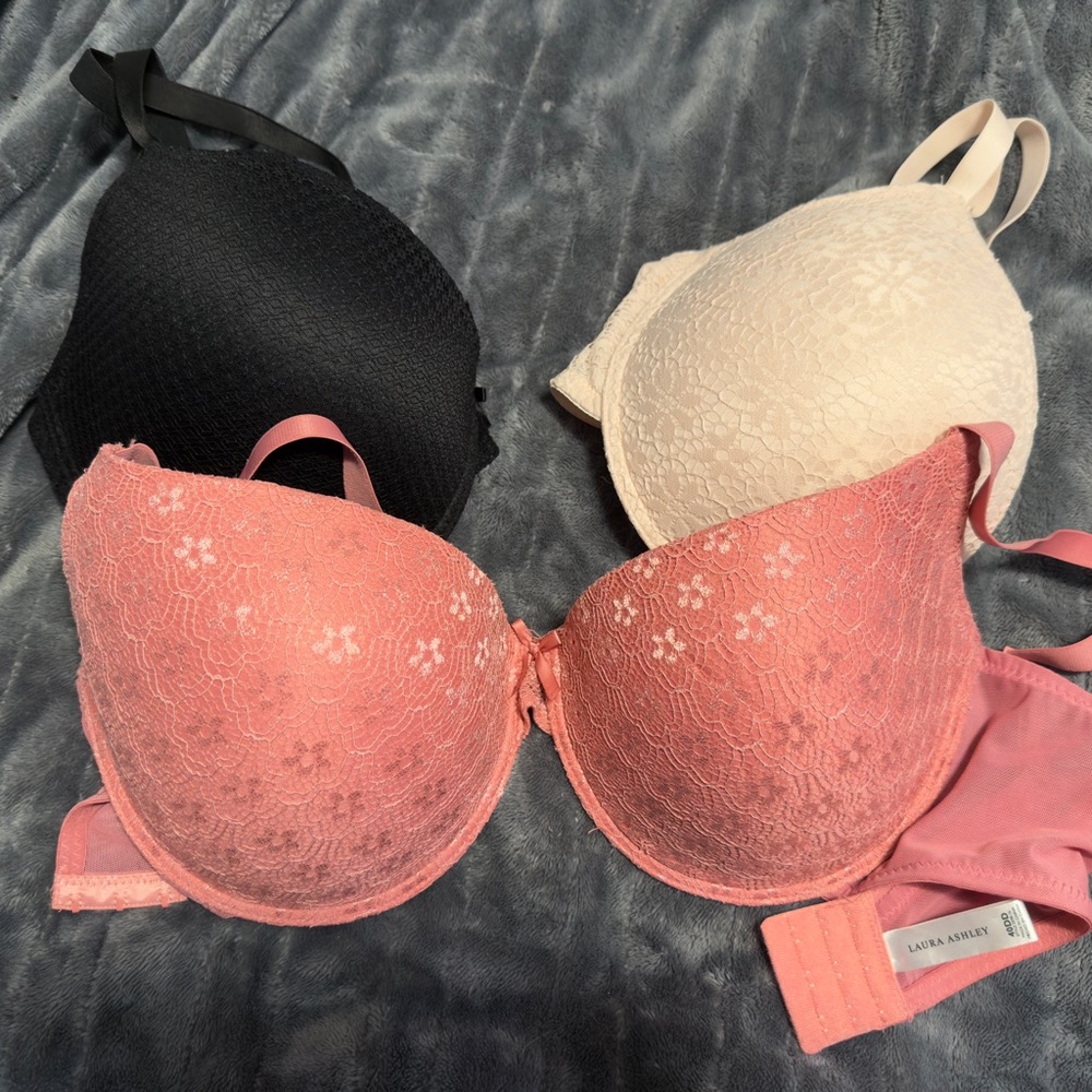 Laura Ashley Lace Bra Lot - Pink, Black, Cream 40DD